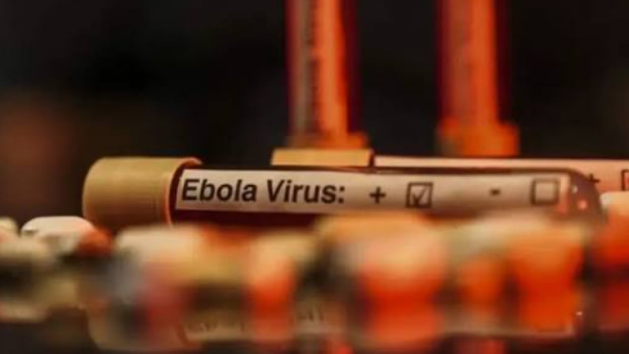 Foto - Korkunç bilanço resmen açıklandı: Ebola salgını 1 ayda ülkeyi esir aldı