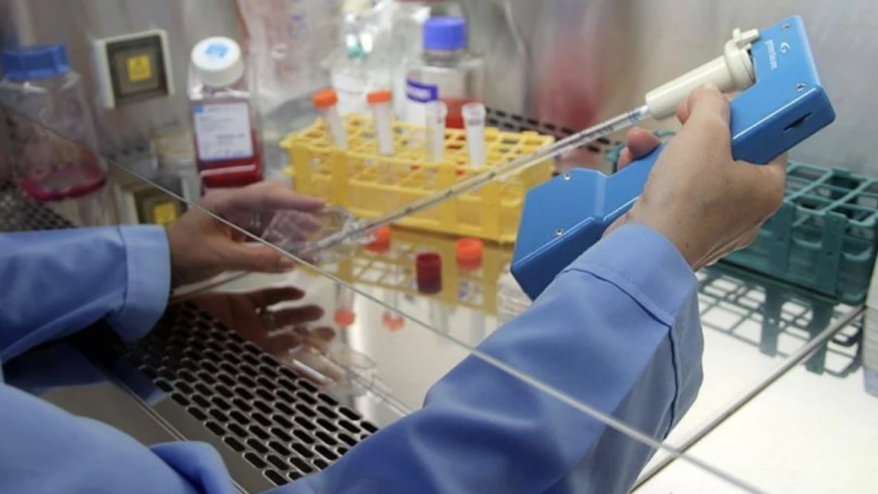 Korkunç rakamları paylaştılar: İşte Türkiye'deki kanserli sayısı