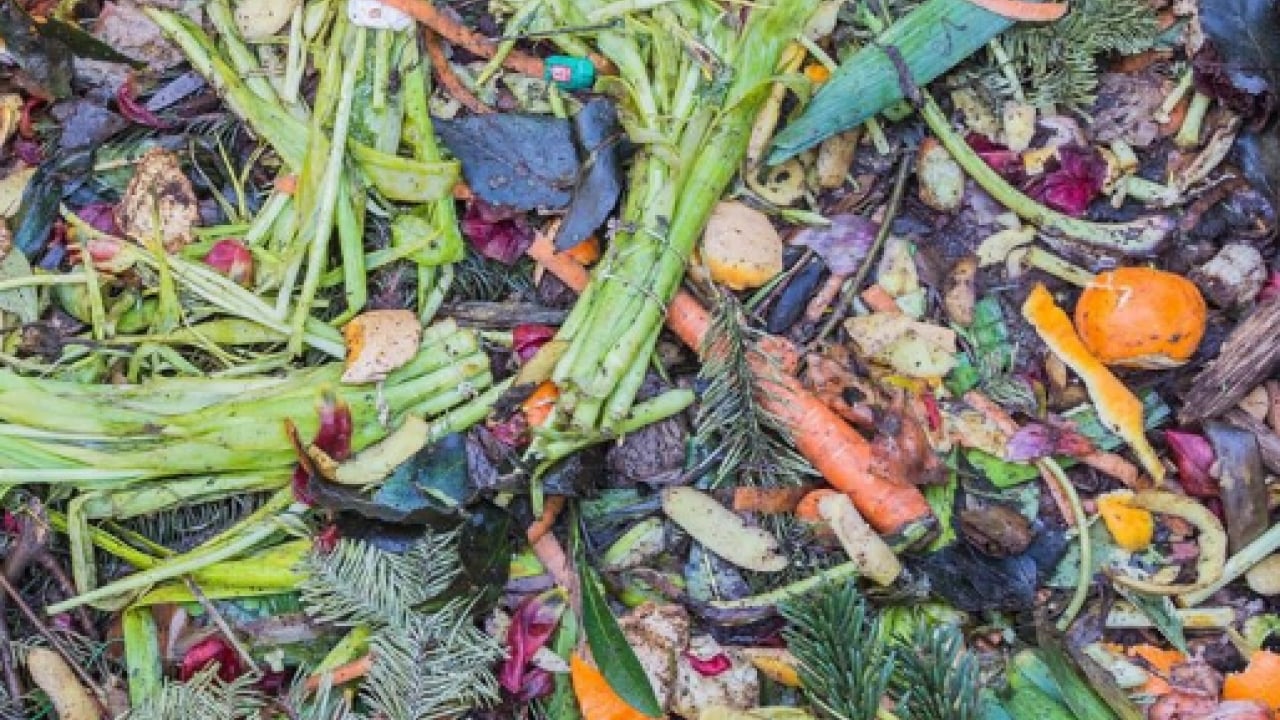 Foto - Korkunç tablo ortaya çıktı: Tam 23 milyon ton heba edildi!