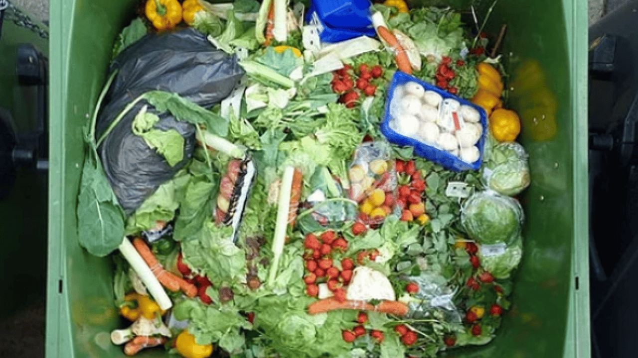 Foto - Korkunç tablo ortaya çıktı: Tam 23 milyon ton heba edildi!