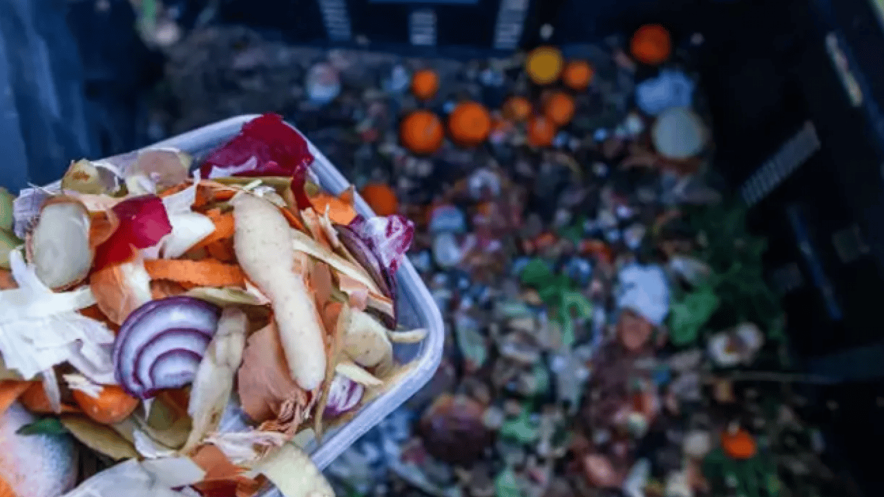 Korkunç tablo ortaya çıktı: Tam 23 milyon ton heba edildi!