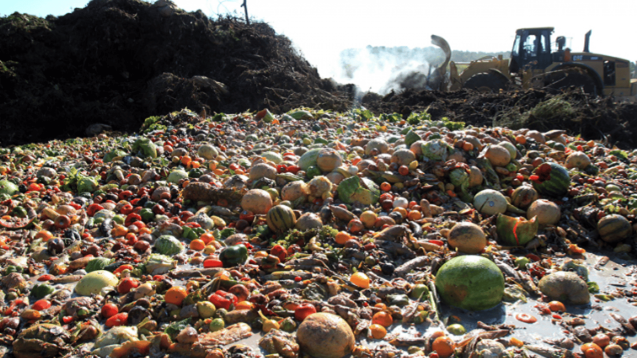 Foto - Korkunç tablo ortaya çıktı: Tam 23 milyon ton heba edildi!