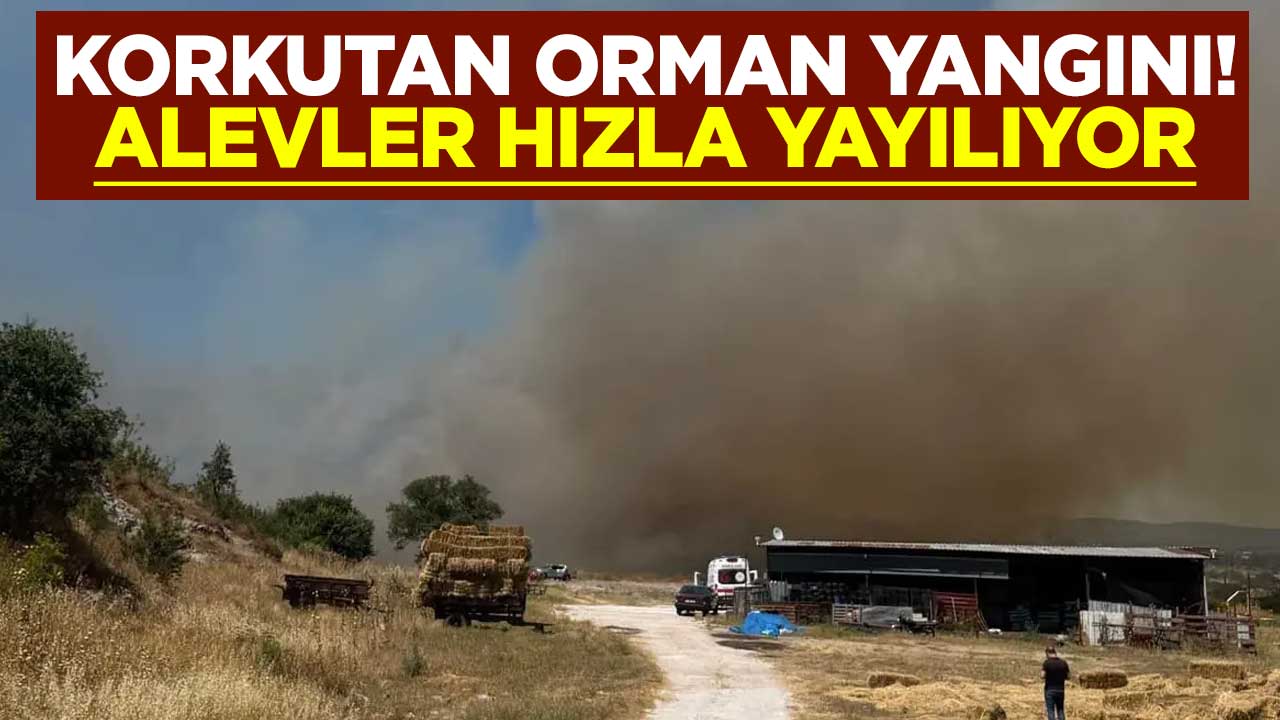 Korkutan orman yangını! Alevler hızla yayılıyor, ekipler sevk edildi