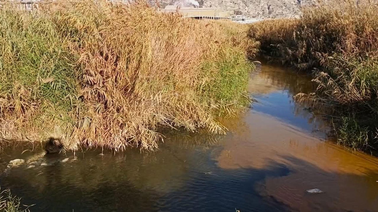 Foto - Korkutan tablo! Büyük Menderes yine siyaha döndü