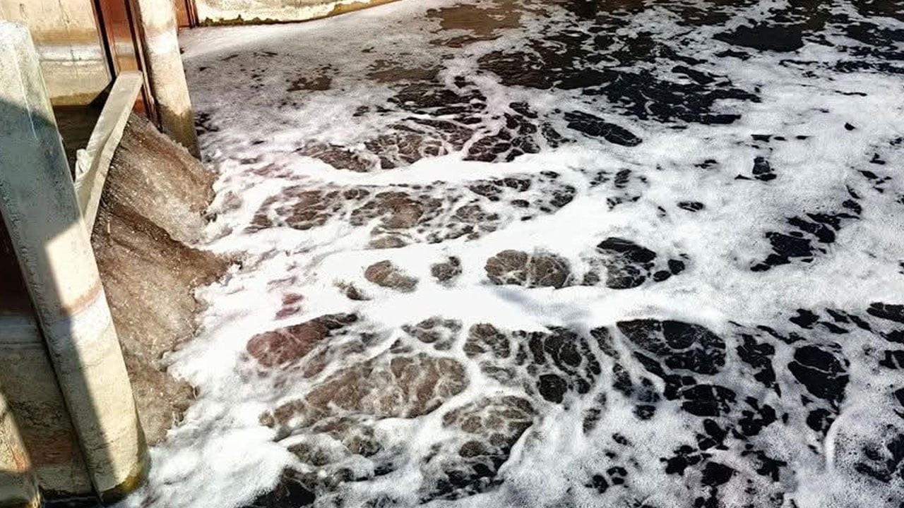 Foto - Korkutan tablo! Büyük Menderes yine siyaha döndü