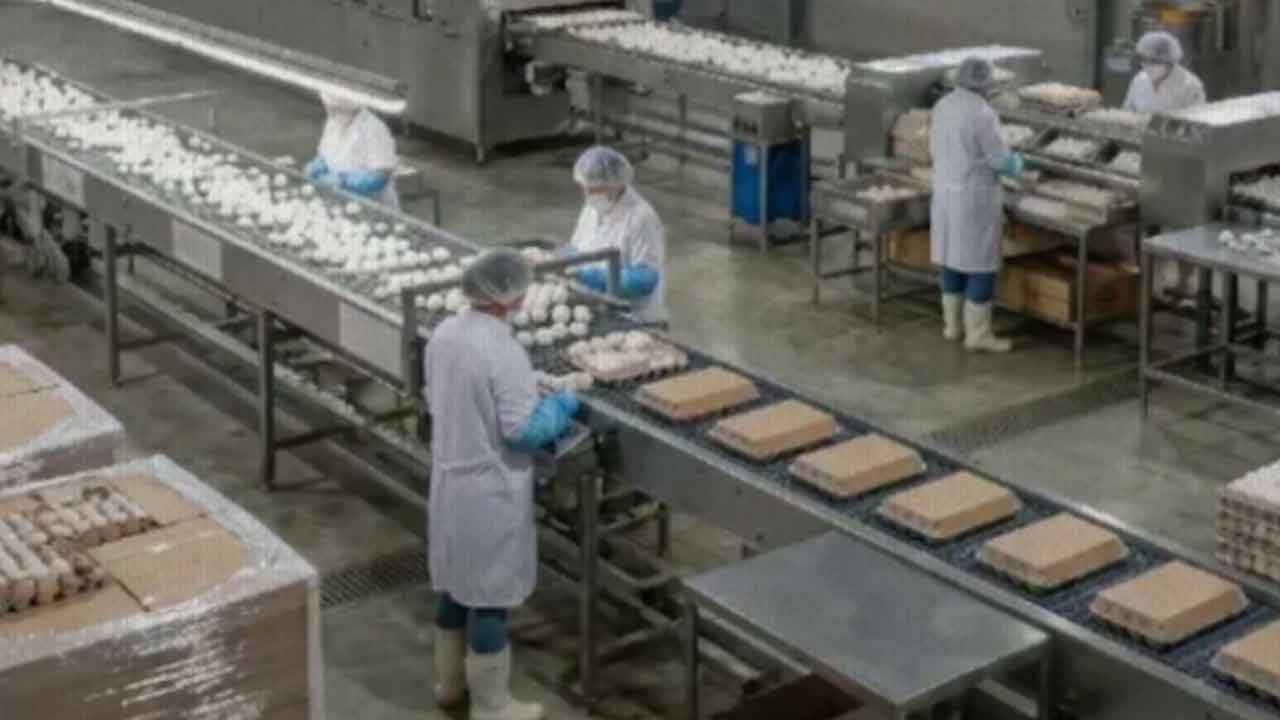 Kötü haber: Türkiye'nin tavukçuluk devi iflas etti