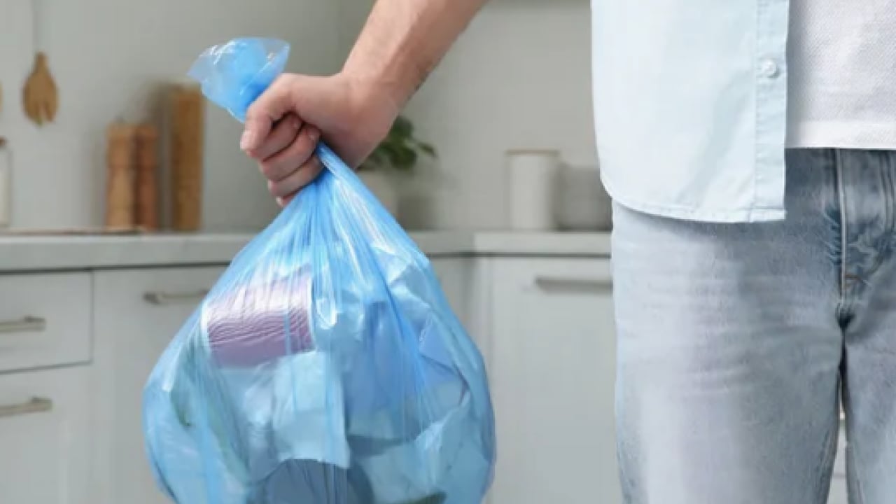 Foto - Kötü kokulara son verin! Çöp kutusuna 1 kaşık serpmek yetiyor: Ne sinek kalıyor ne kurtçuk...