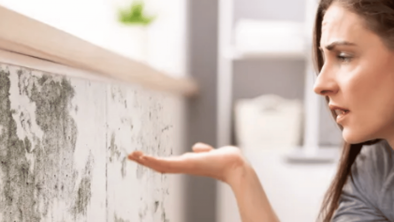 Foto - Kötü kokuya son: Küf ve rutubeti ortadan kaldırdı: Etki edecek en pratik yöntem...