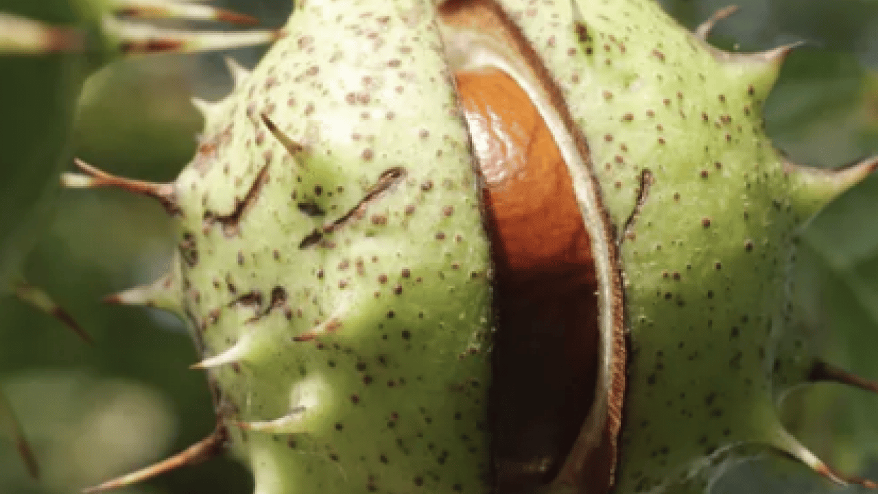 Foto - Kötü kokuya son: Küf ve rutubeti ortadan kaldırdı: Etki edecek en pratik yöntem...