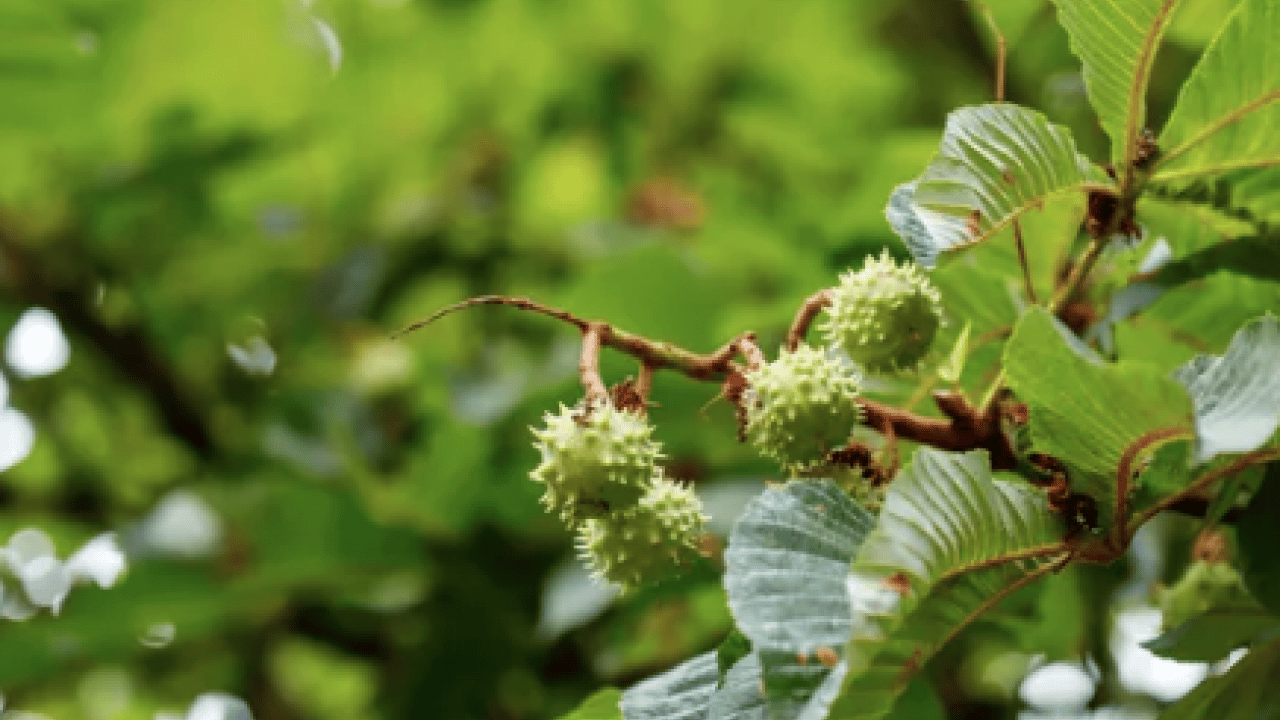 Foto - Kötü kokuya son: Küf ve rutubeti ortadan kaldırdı: Etki edecek en pratik yöntem...