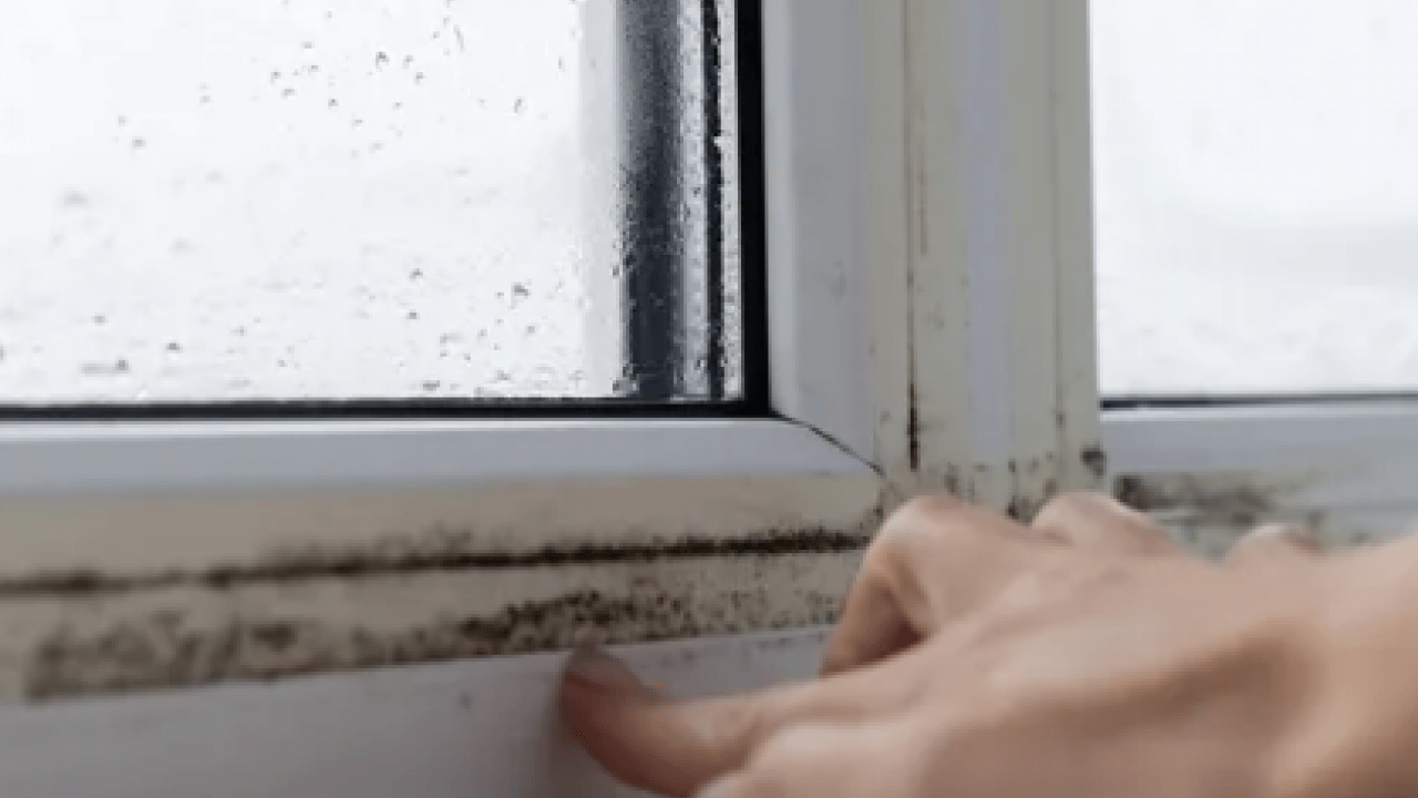 Foto - Kötü kokuya son: Küf ve rutubeti ortadan kaldırdı: Etki edecek en pratik yöntem...