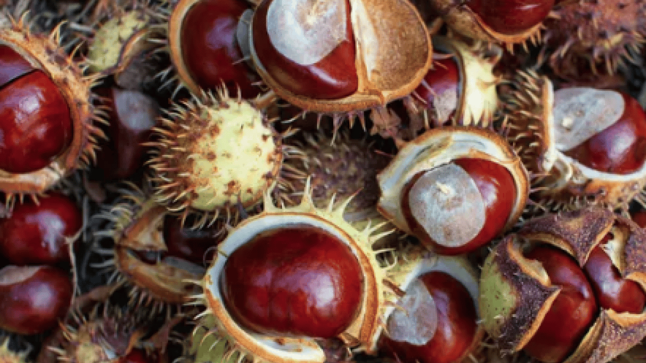 Foto - Kötü kokuya son: Küf ve rutubeti ortadan kaldırdı: Etki edecek en pratik yöntem...