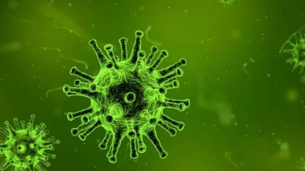 Foto - Kovid’den çok daha fazla etkili! DSÖ dünyayı tedirgin eden o virüsü açıkladı