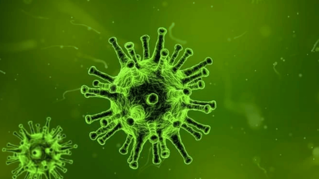 Foto - Kovid’den çok daha fazla etkili! DSÖ dünyayı tedirgin eden o virüsü açıkladı