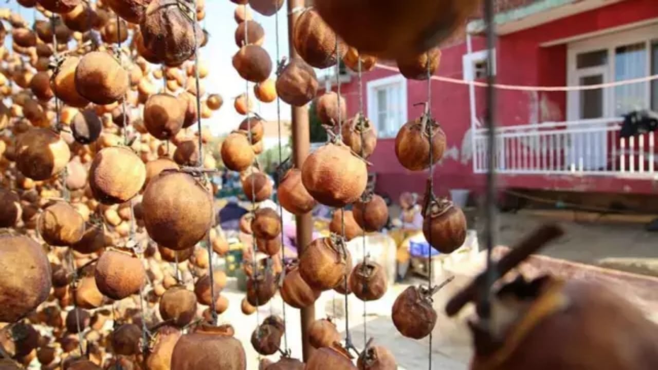 Foto - Köylü kadınlar hazineyi buldu! Sobada kurutup servet kazanıyorlar