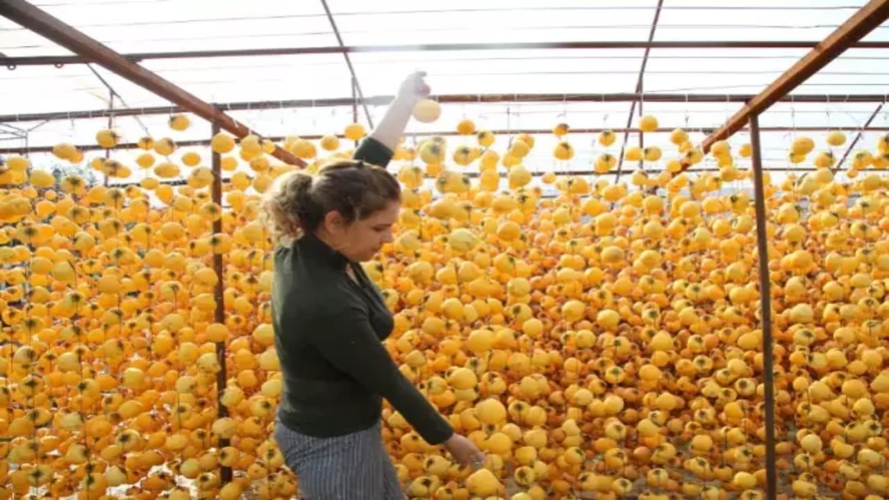 Foto - Köylü kadınlar hazineyi buldu! Sobada kurutup servet kazanıyorlar
