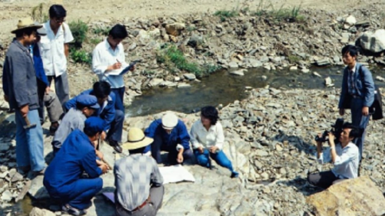 Foto - Köyün altından servet çıktı! 40 yıl boyunca delik deşik ettiler, sonunda bin 500 tonluk devasa altın madeni buldular