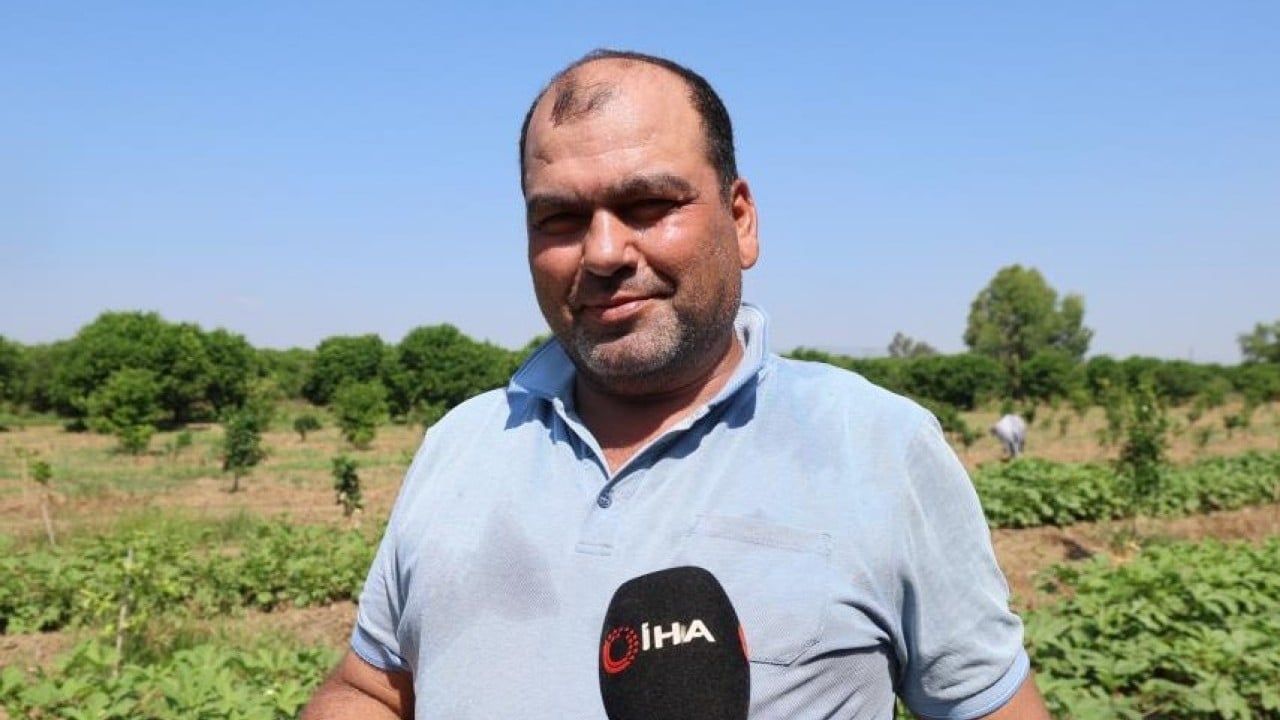 Foto - Kozan'da bamya sezonu açıldı! İşte tarladaki fiyatı