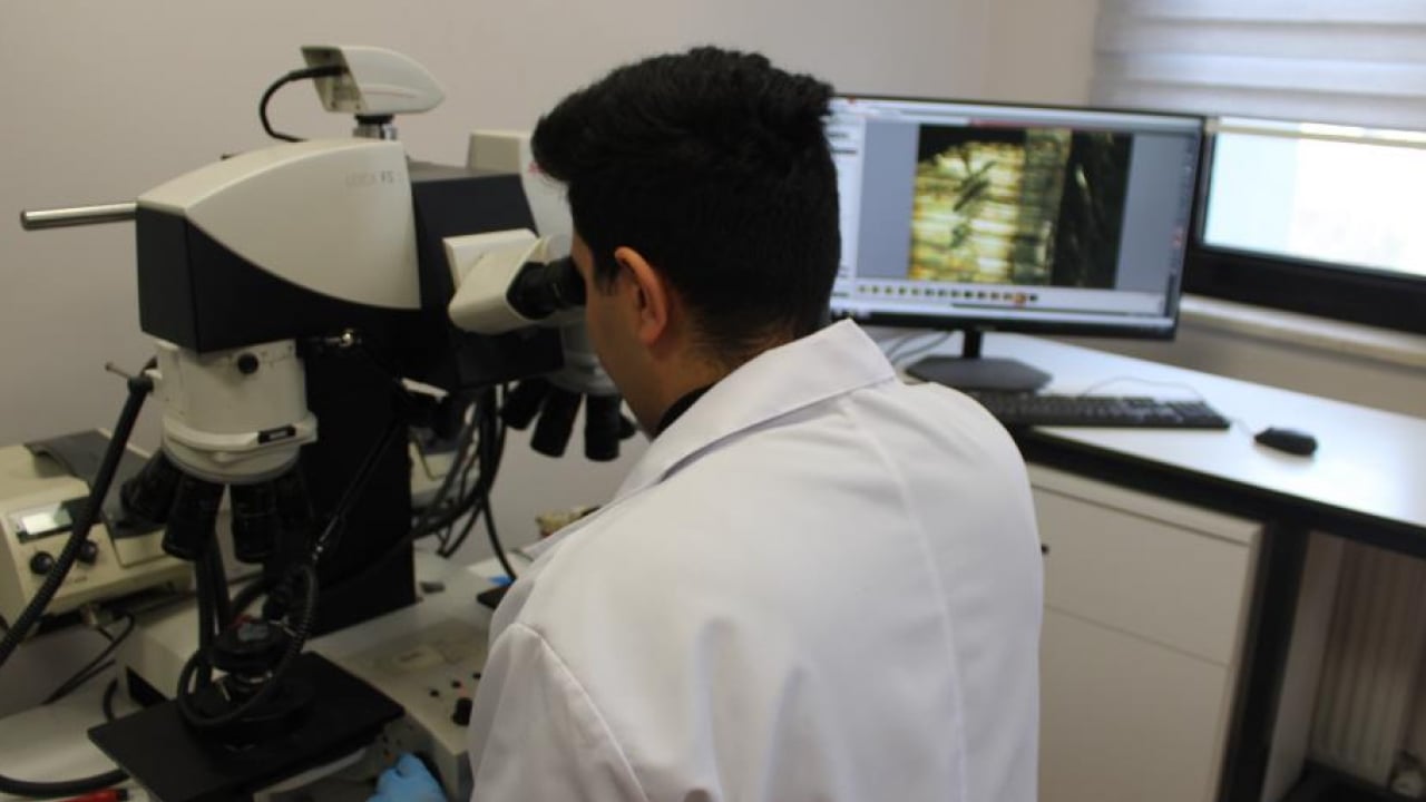 Foto - Kriminal polisler imkansızı başarıyor! Kovanlar eşleşti, oyunlar bozuldu: 280 bin delil karanlığı aydınlattı