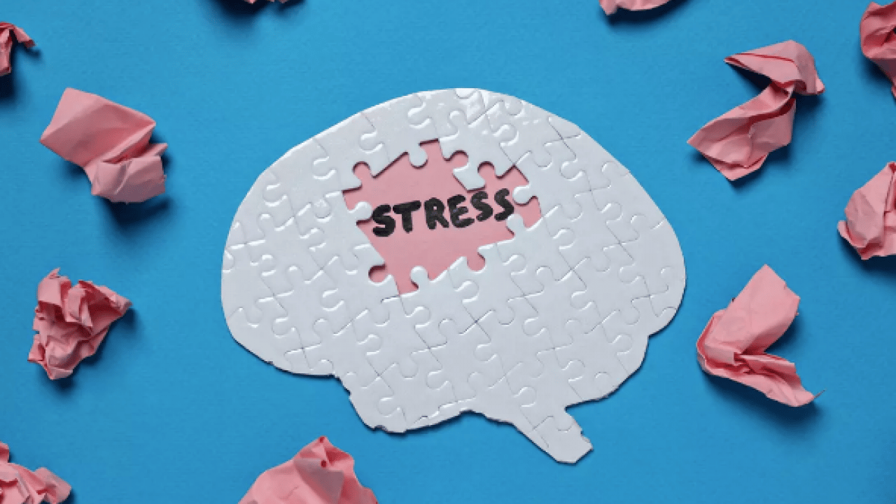 Foto - Kronik stresi hafife mi alıyorsunuz, bizden söylemesi artık almayın! Cildi, bağışıklığı ve beyni çökertiyor