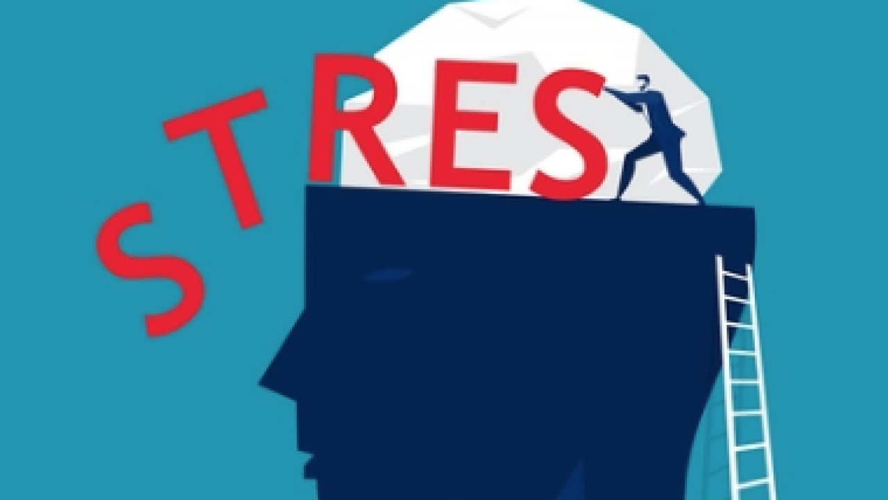 Foto - Kronik stresi hafife mi alıyorsunuz, bizden söylemesi artık almayın! Cildi, bağışıklığı ve beyni çökertiyor