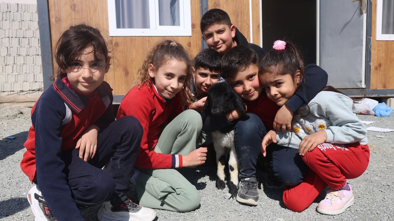 Foto - Küçük kuzunun büyük hikayesi! Boncuk’a mahalle sahip çıktı 