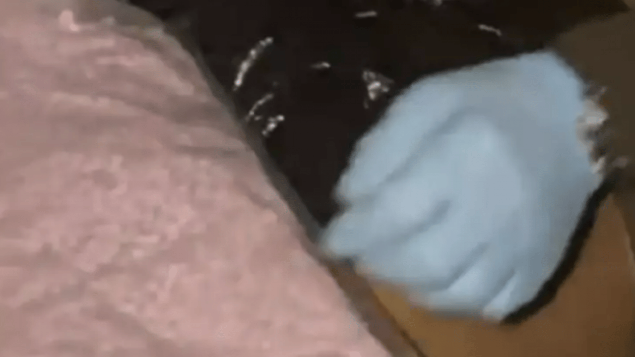 Foto - Küçükçekmece'de ele geçirildi: Piyasa değeri 25,5 milyon lira!