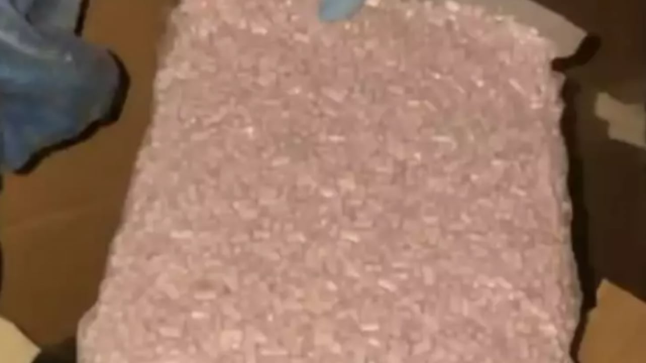 Foto - Küçükçekmece'de ele geçirildi: Piyasa değeri 25,5 milyon lira!