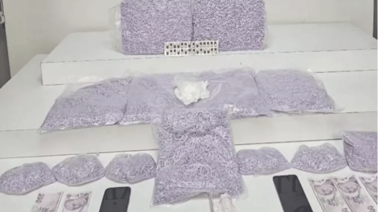 Foto - Küçükçekmece'de ele geçirildi: Piyasa değeri 25,5 milyon lira!