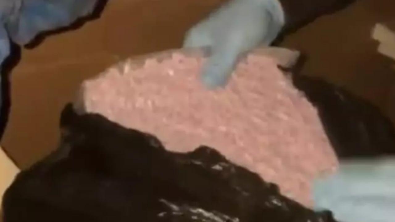 Foto - Küçükçekmece'de ele geçirildi: Piyasa değeri 25,5 milyon lira!