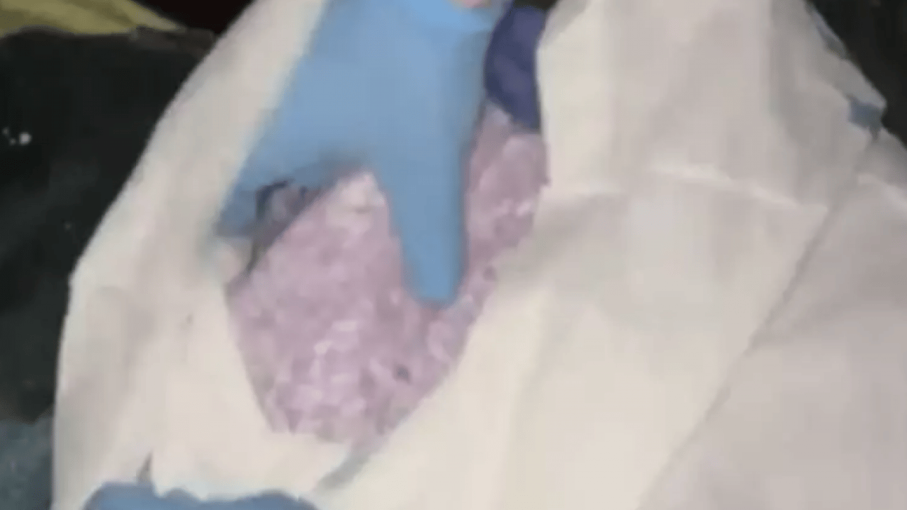 Foto - Küçükçekmece'de ele geçirildi: Piyasa değeri 25,5 milyon lira!