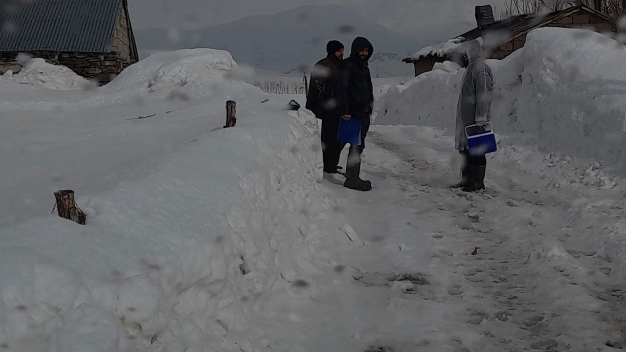 Foto - Kuduz alarmı verildi! O köy karantinaya alındı