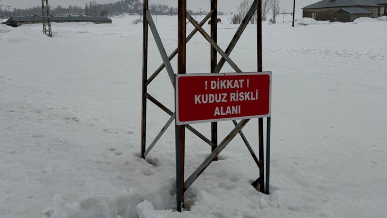 Kuduz alarmı verildi! O köy karantinaya alındı