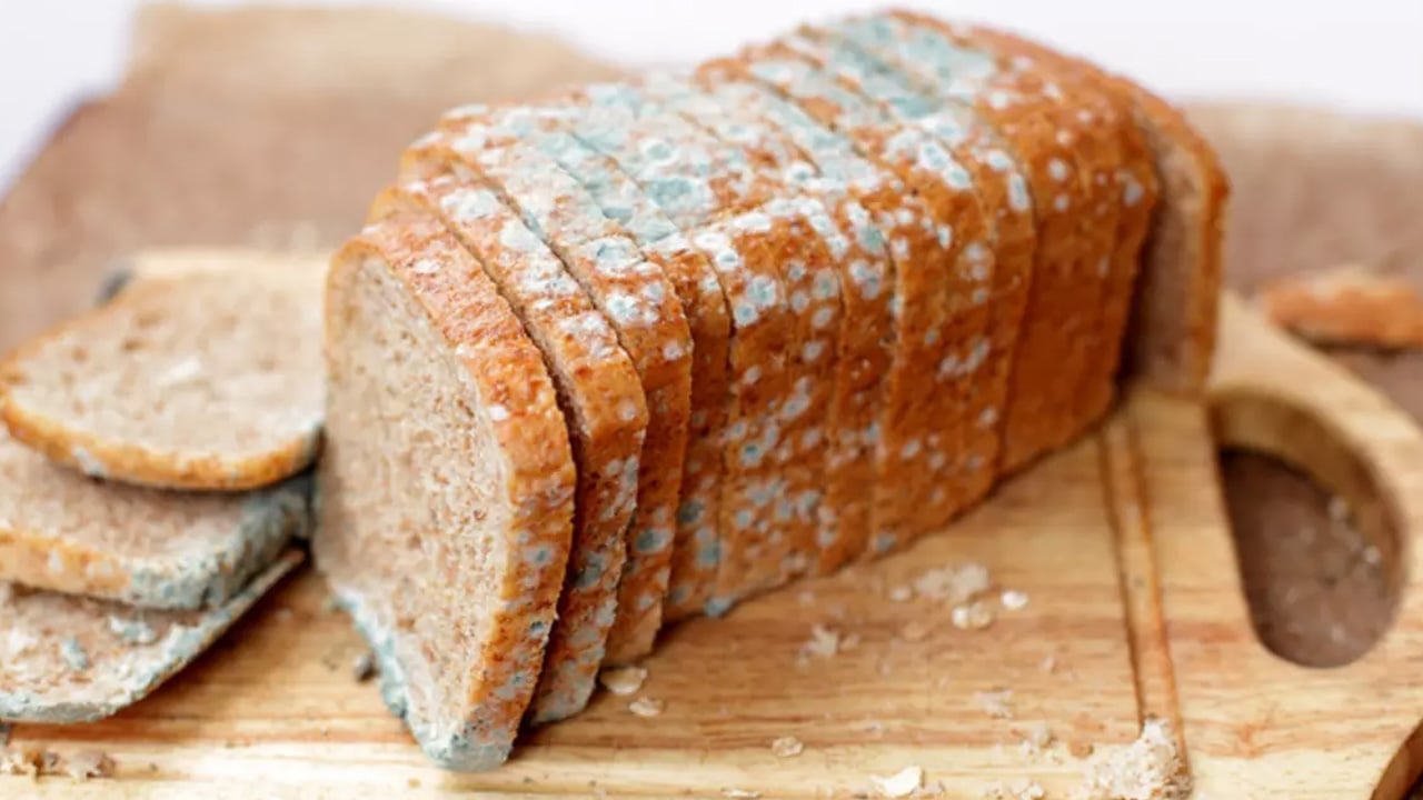 Foto - Küflü ekmek yenir mi? Ekmekte bu yöntem güvenli değil! işte gerçek... Uzmanlar net konuştu