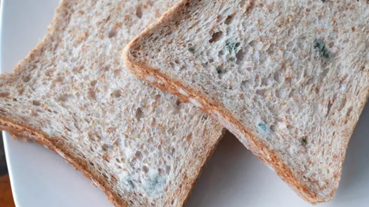 Foto - Küflü ekmek yenir mi? Ekmekte bu yöntem güvenli değil! işte gerçek... Uzmanlar net konuştu