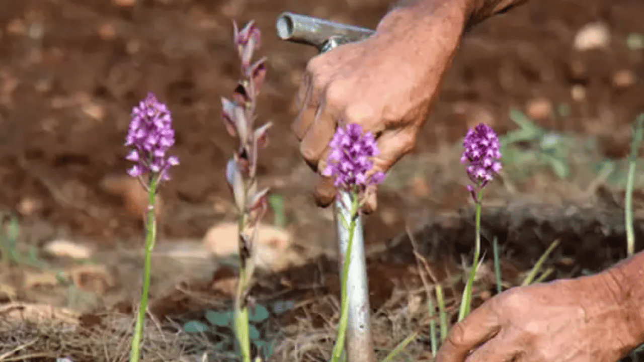Kulağınıza küpe olsun: Tam 700 bin lira cezası var!