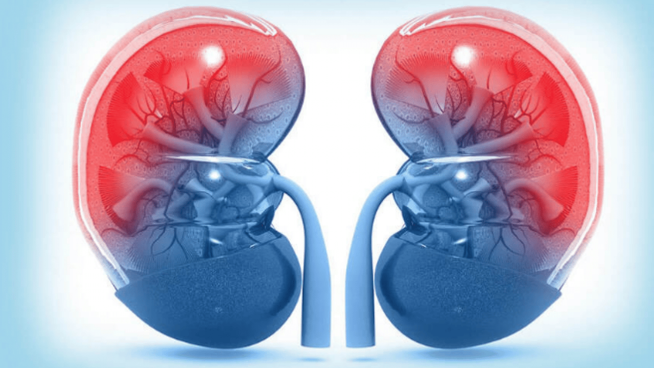 Foto - Kulak verilmeli bu detaya: İhmal edilen 'endometriozis' kadınlarda nefes darlığı ile böbrek sorunlarına neden olabiliyor