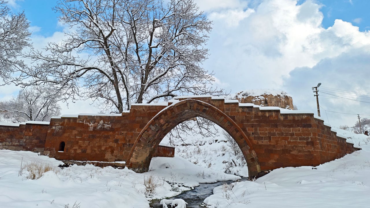 Foto - Kümbetler beyaza büründü! Kar yağışı tarihi mirası masalsı görünüme kavuşturdu