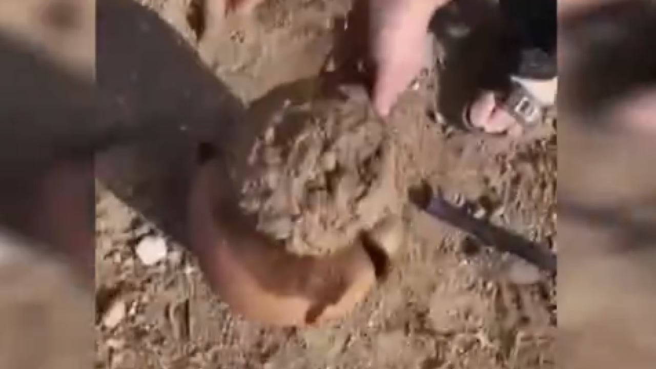 Foto - Küpü gören altın dolu zannetti: İçinden çıkan şey şaşırttı!