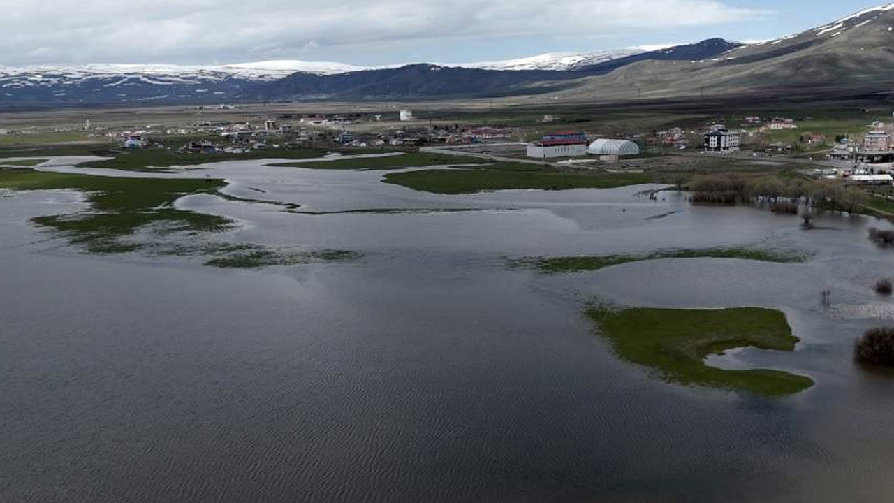 Kura Nehri taştı! Burası göl değil Ardahan Ovası