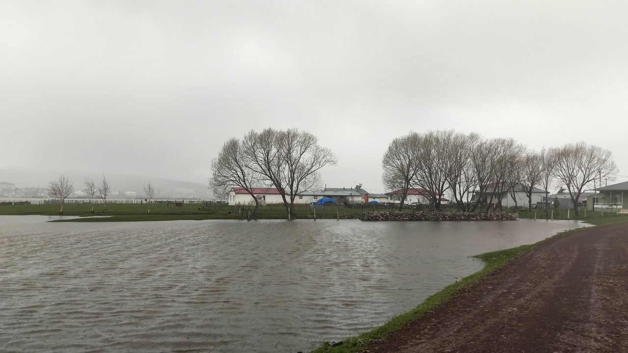Foto - Kura Nehri taştı! Burası göl değil Ardahan Ovası