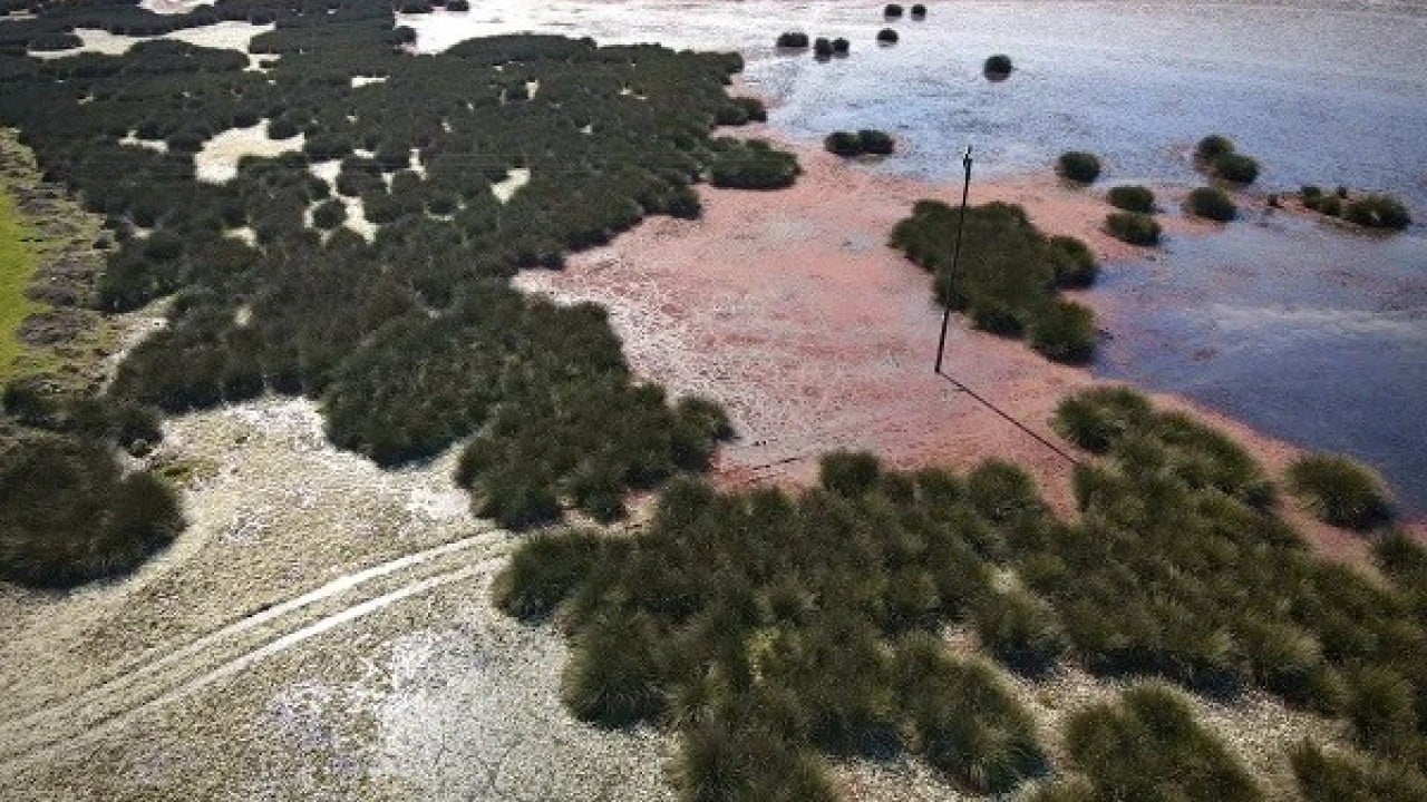 Foto - Kuraklık Kızılırmak deltasını vurdu