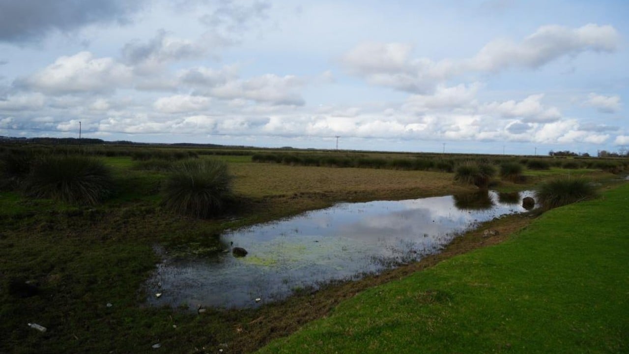 Foto - Kuraklık Kızılırmak deltasını vurdu