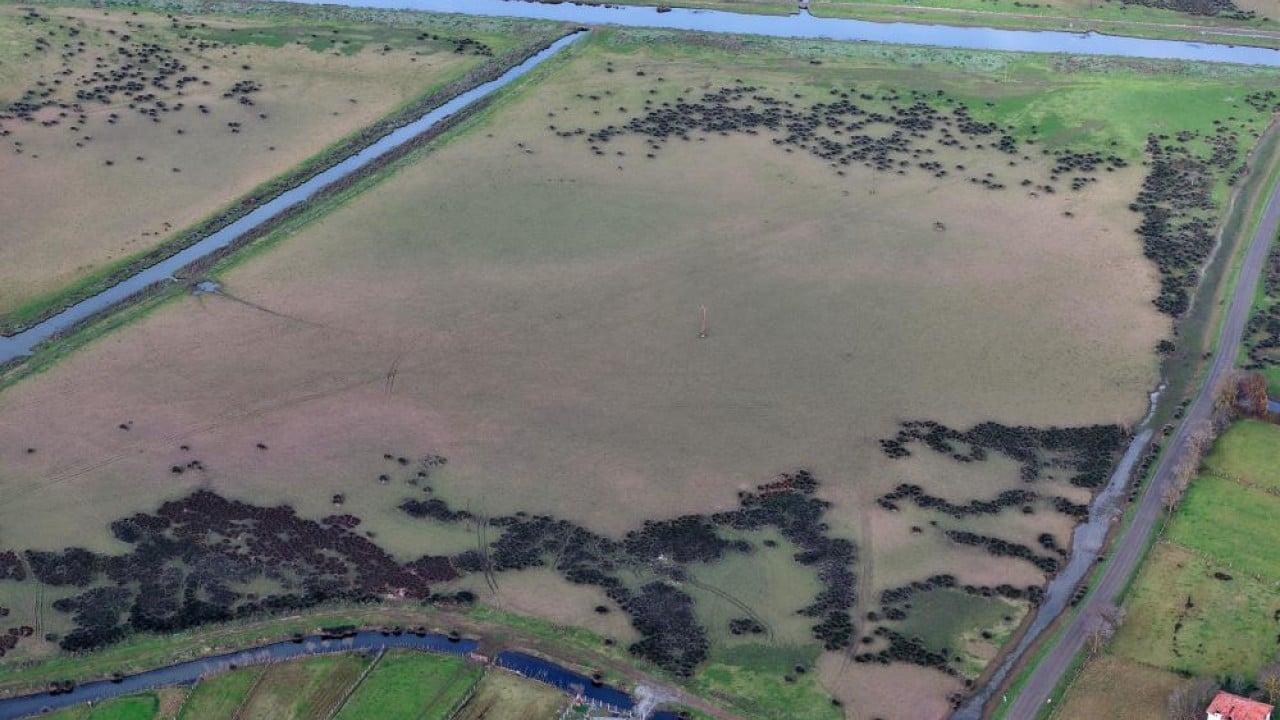 Foto - Kuraklık Kızılırmak deltasını vurdu