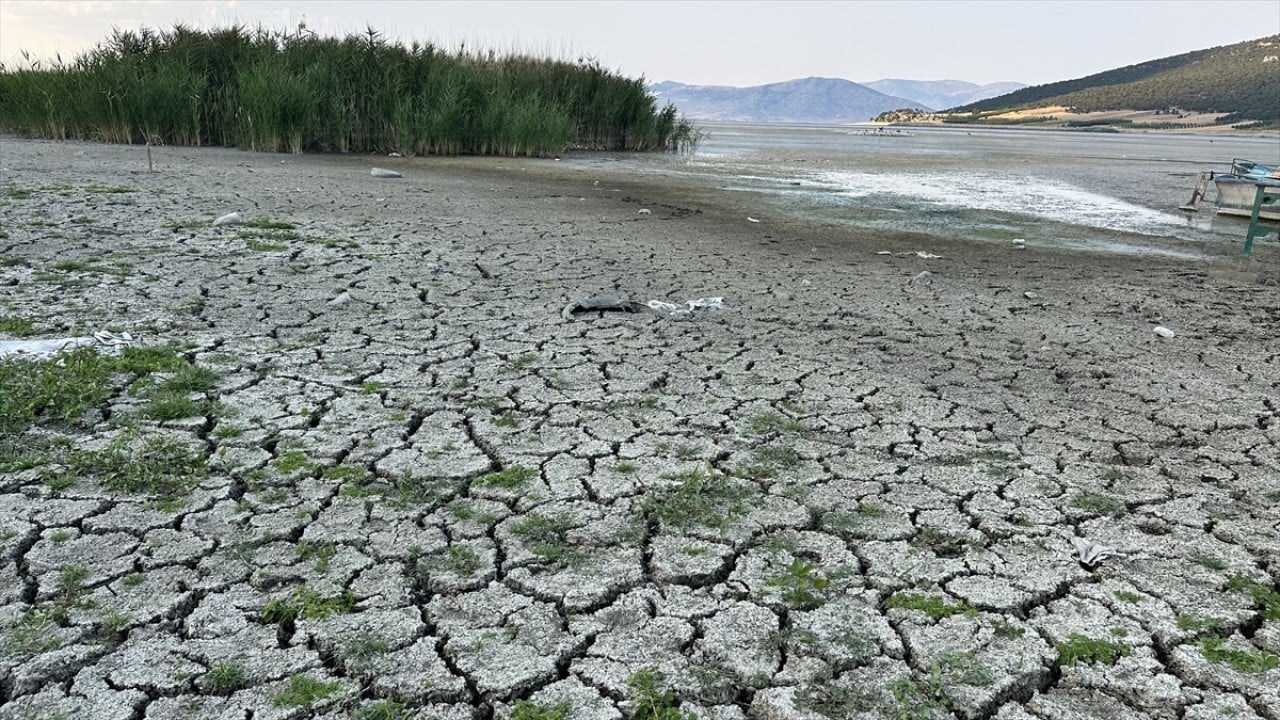 Foto - Kuraklıktan etkilenmişti! Mada Adası için güzel haber geldi 