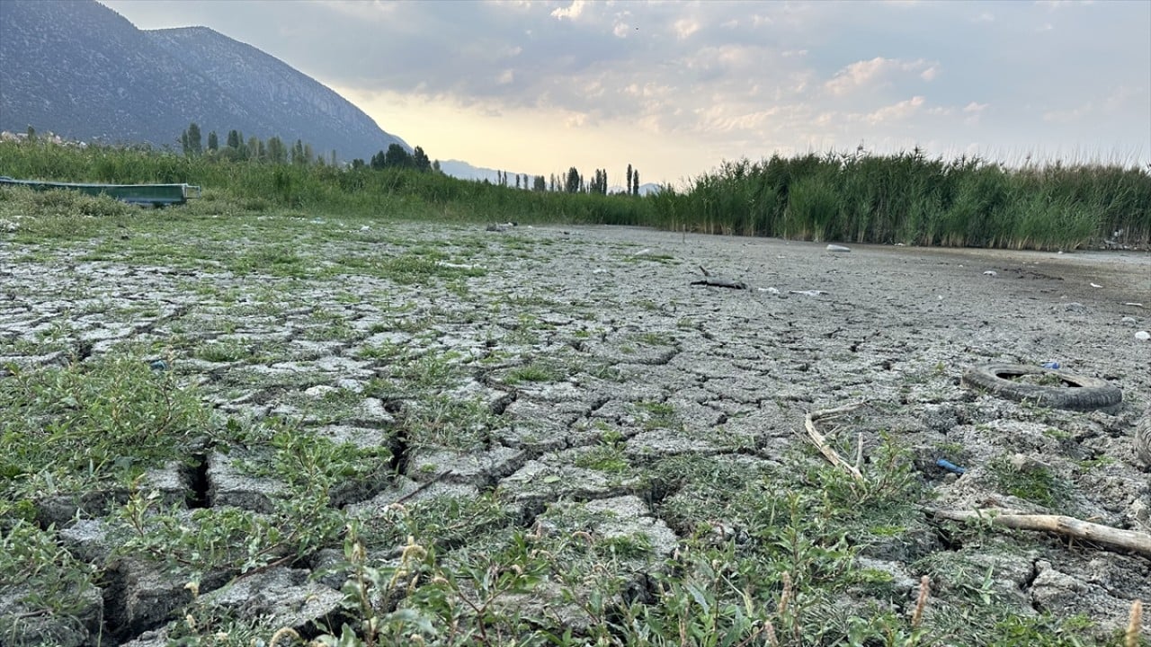 Foto - Kuraklıktan etkilenmişti! Mada Adası için güzel haber geldi 