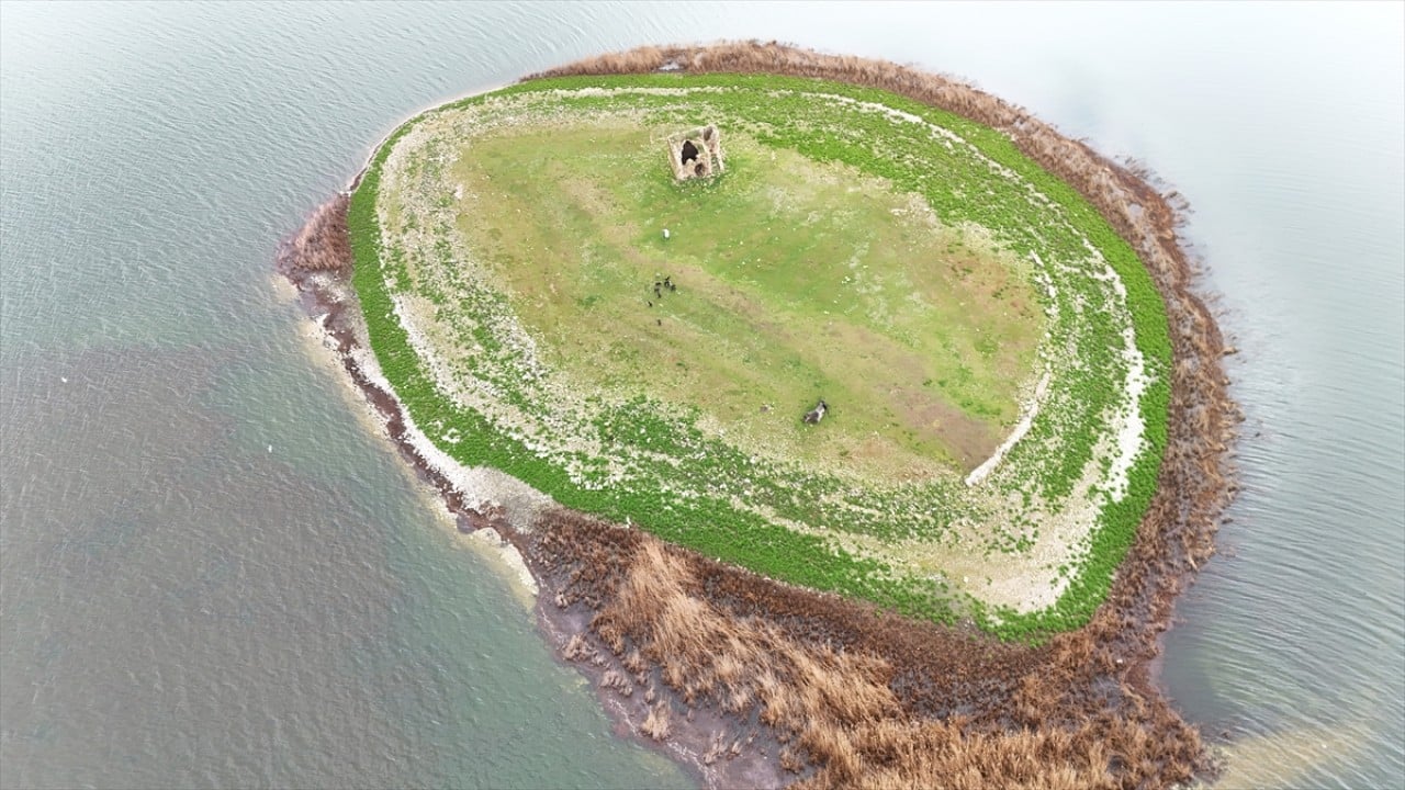 Kuraklıktan etkilenmişti! Mada Adası için güzel haber geldi 