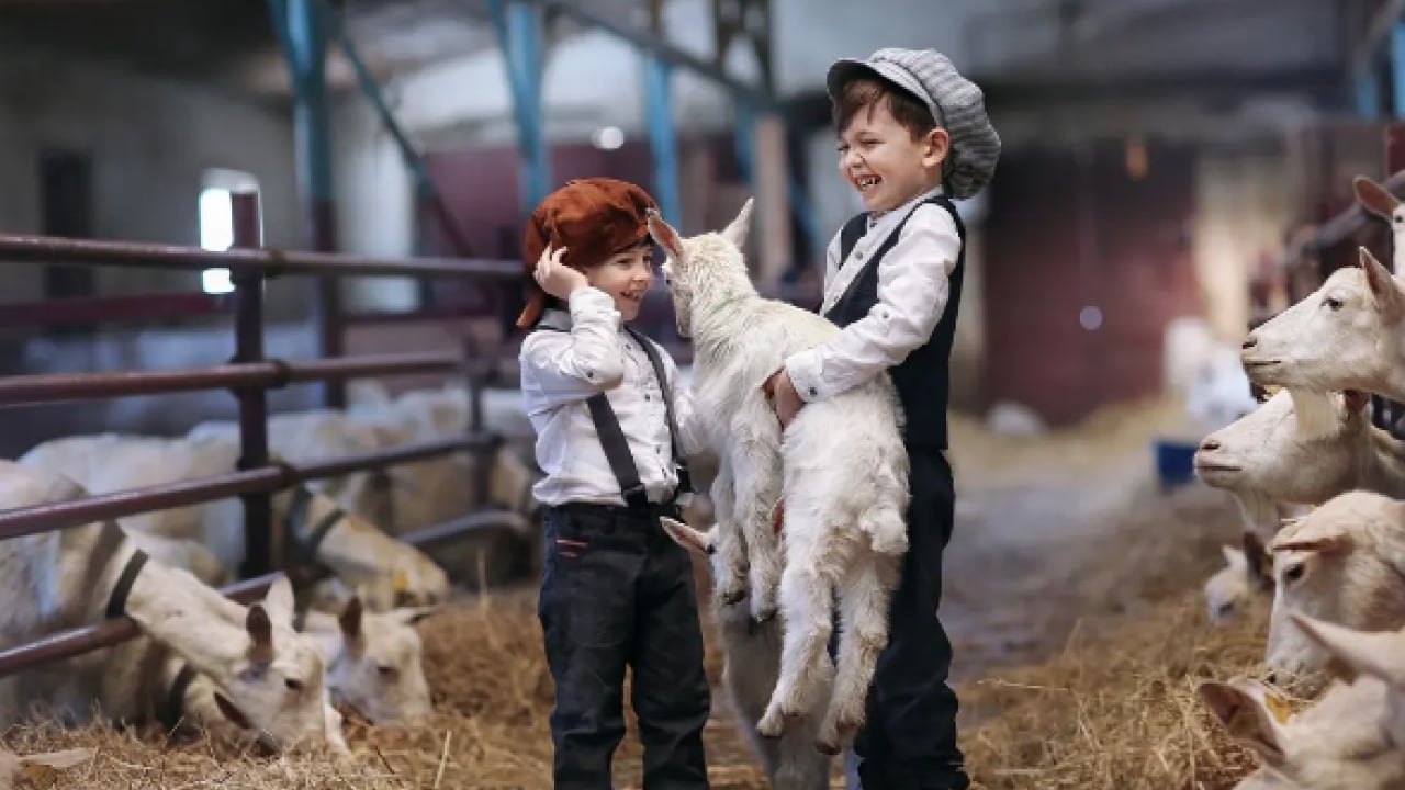 Foto - Kurban Bayramı çocuklara anlatılmalı... Görsün, alışsın demek yerine bu cümleleri söyleyin