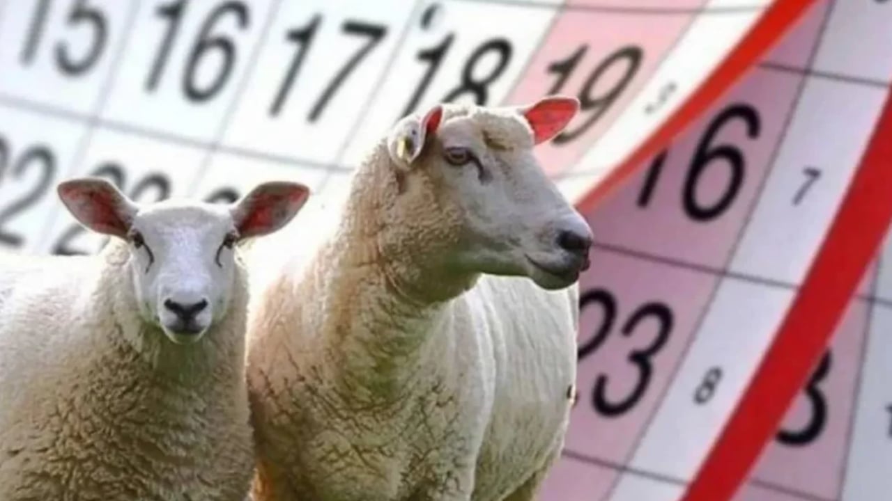 Foto - Kurban Bayramı tatilinin 9 güne uzatılması gündemde: Bakan Ersoy, konuya açıklık getirdi