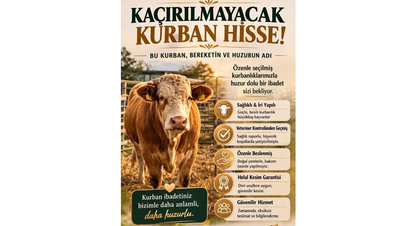 Foto - Kurban Bayramı yaklaşırken dolandırılmayın! Dolandırıcıların yeni 'kurbanlık oyunu'na dikkat